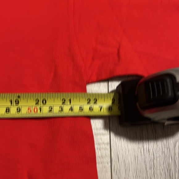 St. Louis Cardinals Post Season 2011 Rally Squirrel - Picture 4 of 6